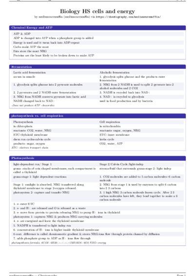 LaTeX (Compiled PDF)