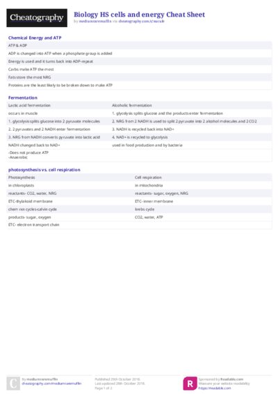 PDF (Colour) — Style 2