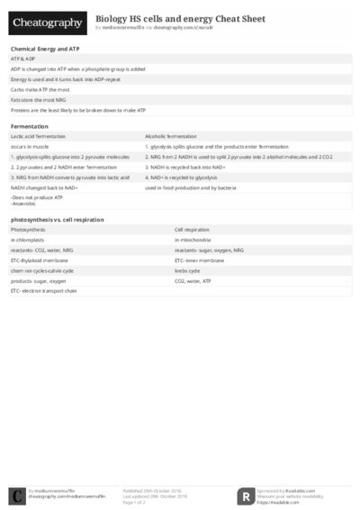 PDF (Black & white) — Style 2