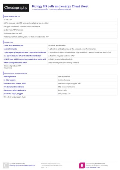 PDF (Colour) — Style 3
