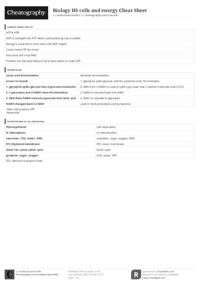 PDF (Black & white) — Style 3