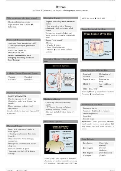 LaTeX (Compiled PDF)
