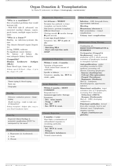 LaTeX (Compiled PDF)