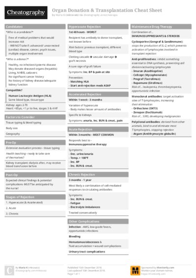 PDF (Colour) — Style 1