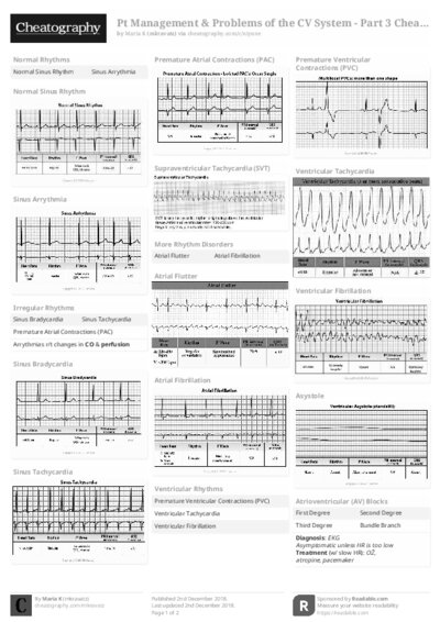 PDF (Black & white) — Style 2