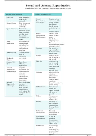 LaTeX (Compiled PDF)