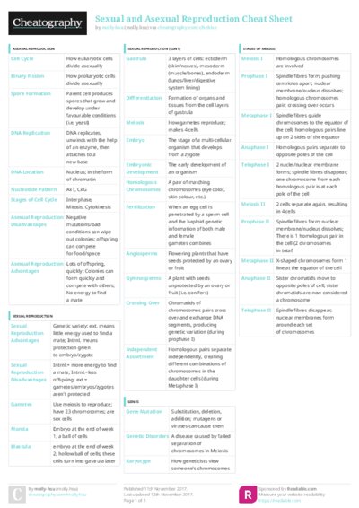 PDF (Colour) — Style 3
