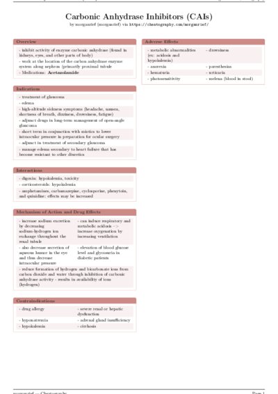 LaTeX (Compiled PDF)