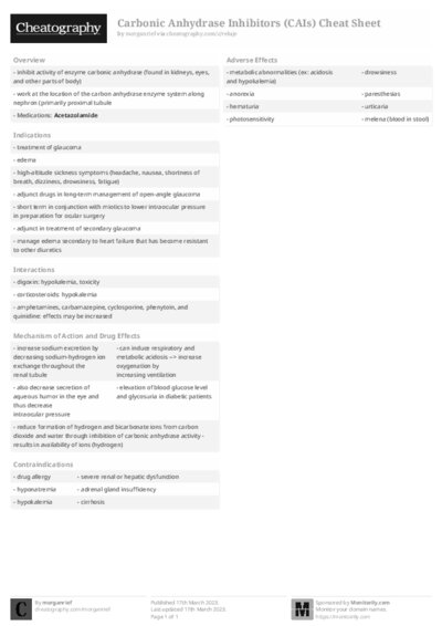 PDF (Black & white) — Style 2
