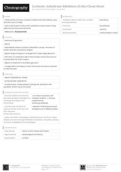 PDF (Black & white) — Style 3