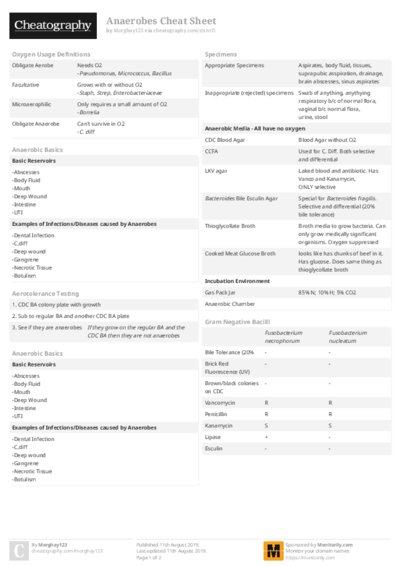 PDF (Colour) — Style 2