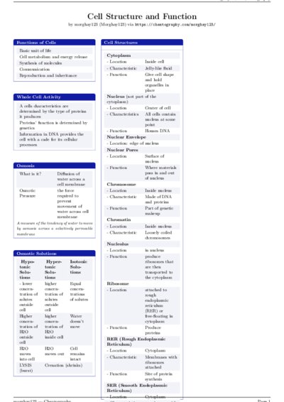 LaTeX (Compiled PDF)