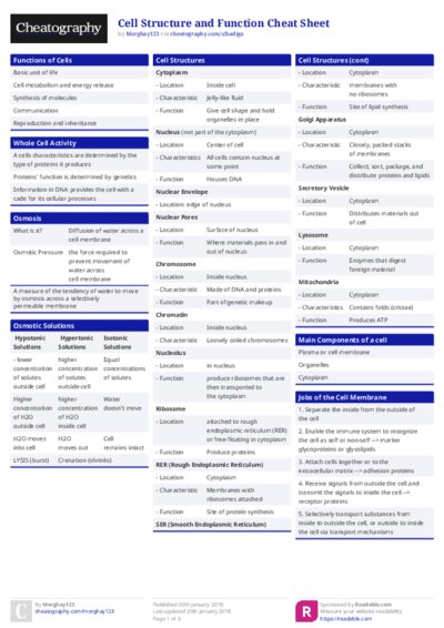 PDF (Colour) — Style 1