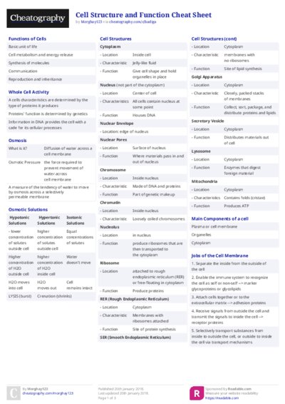 PDF (Colour) — Style 2