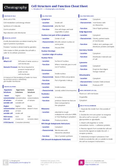 PDF (Colour) — Style 3