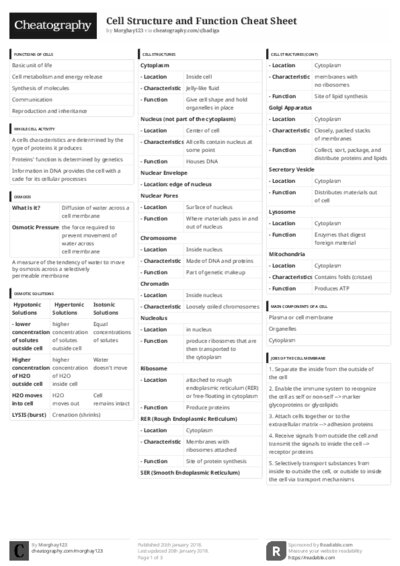 PDF (Black & white) — Style 3