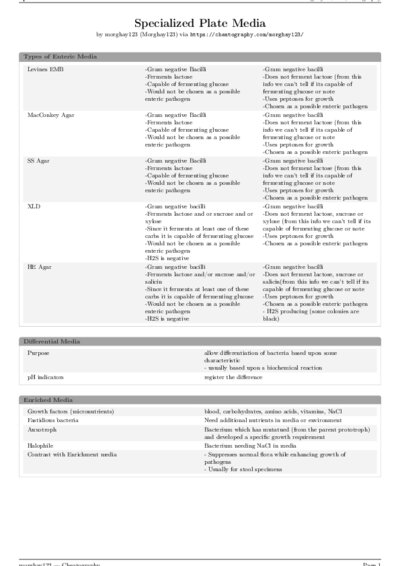 LaTeX (Compiled PDF)