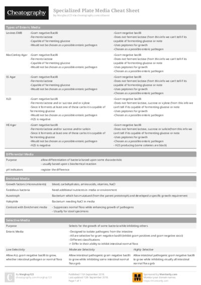 PDF (Colour) — Style 1