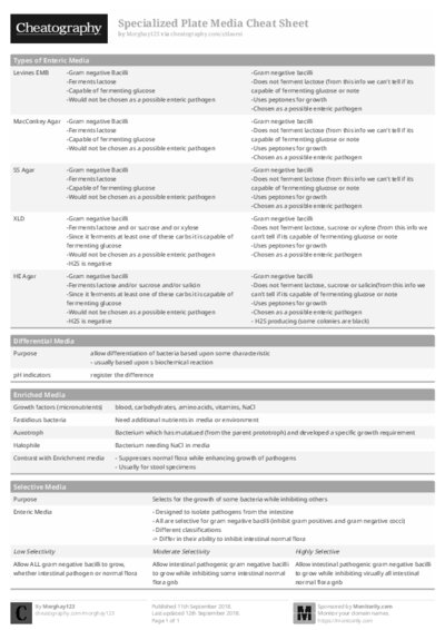 PDF (Black & white) — Style 1
