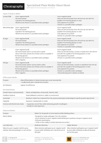 PDF (Colour) — Style 2