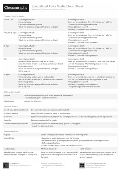 PDF (Black & white) — Style 2
