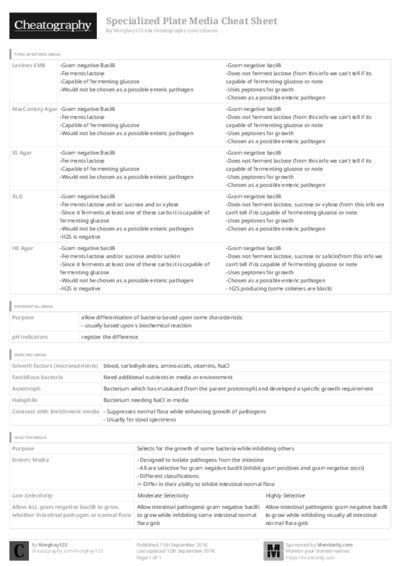 PDF (Black & white) — Style 3