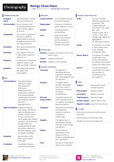 PDF (Colour) — Style 3