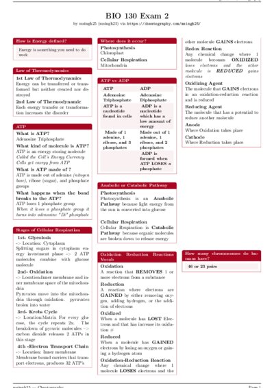 LaTeX (Compiled PDF)