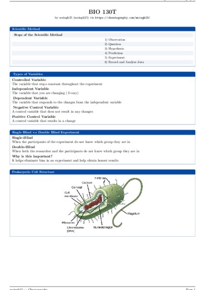 LaTeX (Compiled PDF)