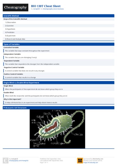 PDF (Colour) — Style 1