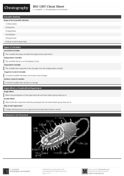 PDF (Black & white) — Style 1