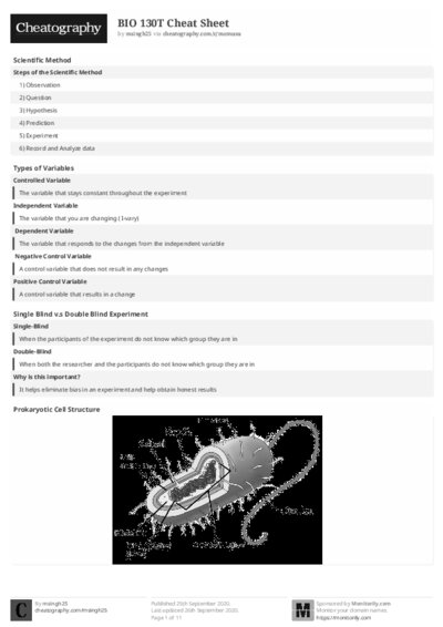 PDF (Black & white) — Style 2