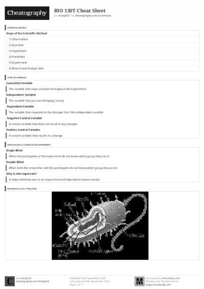 PDF (Black & white) — Style 3