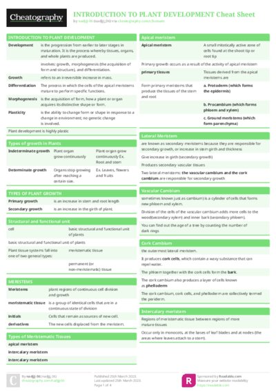 PDF (Colour) — Style 1