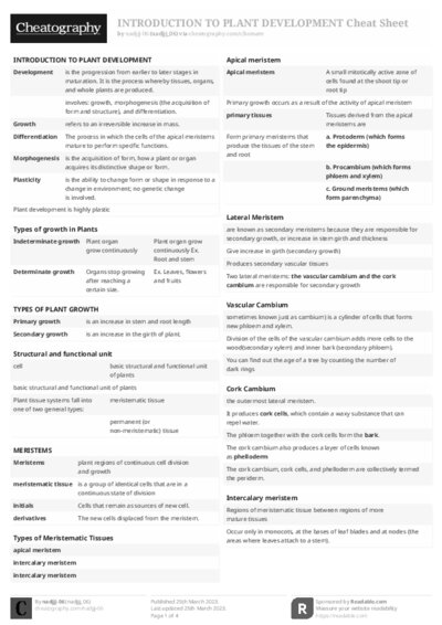 PDF (Black & white) — Style 2