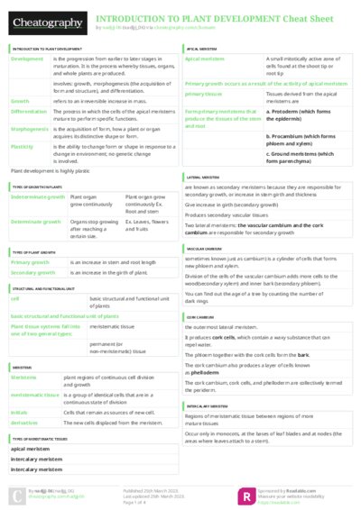 PDF (Colour) — Style 3