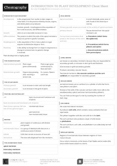 PDF (Black & white) — Style 3