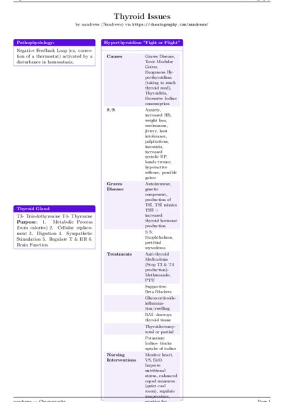 LaTeX (Compiled PDF)