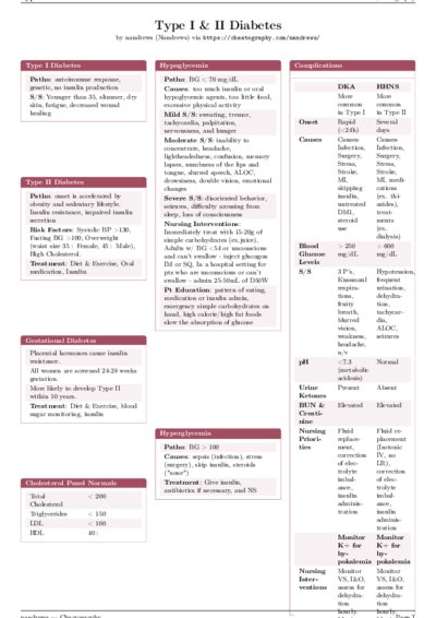 LaTeX (Compiled PDF)