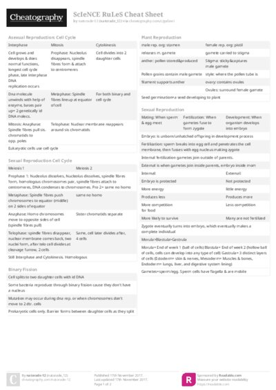 PDF (Colour) — Style 2