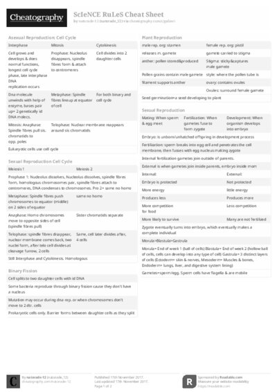 PDF (Black & white) — Style 2