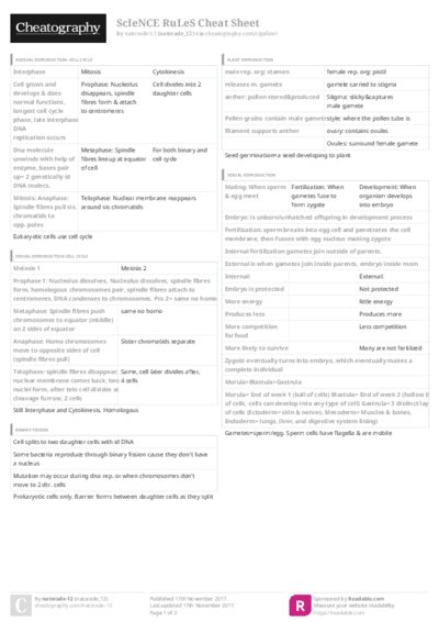 PDF (Colour) — Style 3