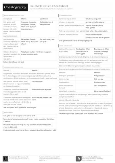 PDF (Black & white) — Style 3
