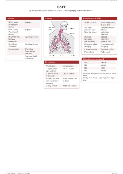 LaTeX (Compiled PDF)
