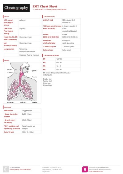 PDF (Colour) — Style 3