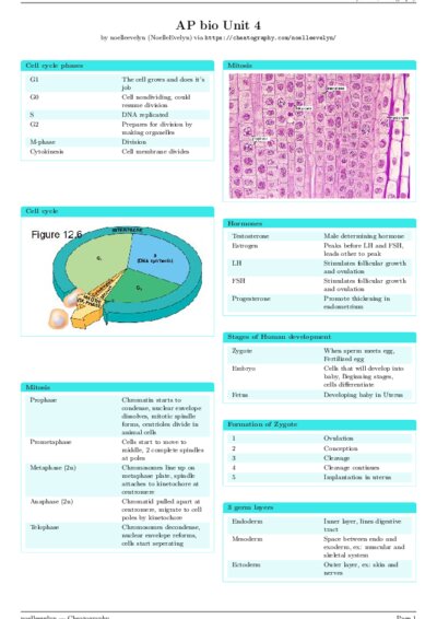 LaTeX (Compiled PDF)
