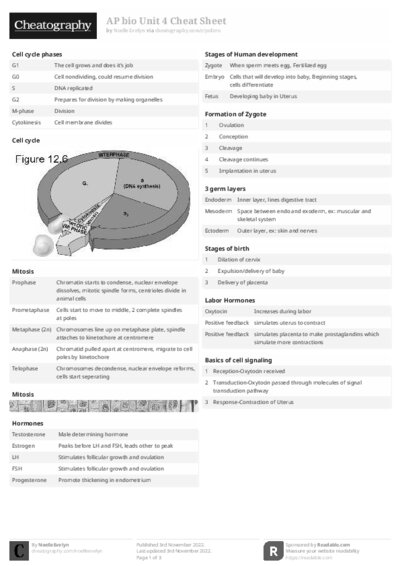 PDF (Black & white) — Style 2