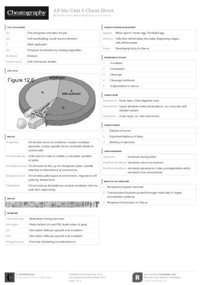 PDF (Black & white) — Style 3