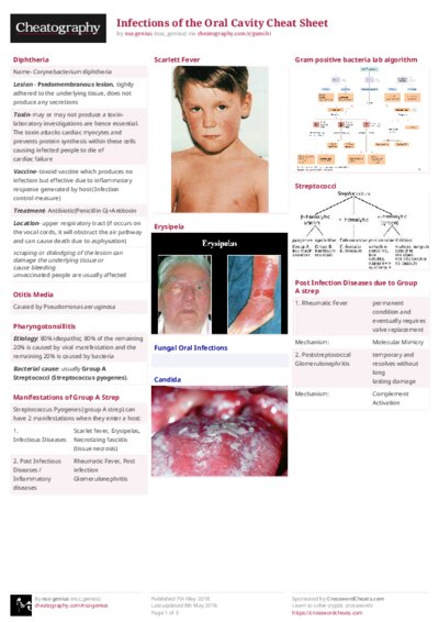 PDF (Colour) — Style 2