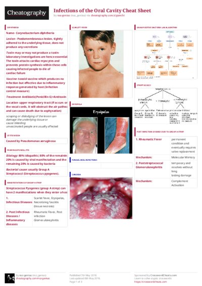 PDF (Colour) — Style 3